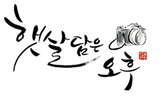 햇살담은 오후